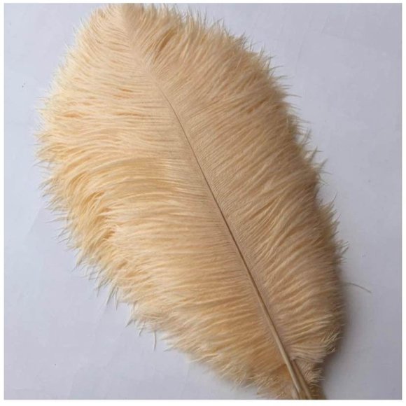 Set of 10 | Champagne Feathers Size 12-14 inches for Wedding Party Home Decor - Picture 2 of 2